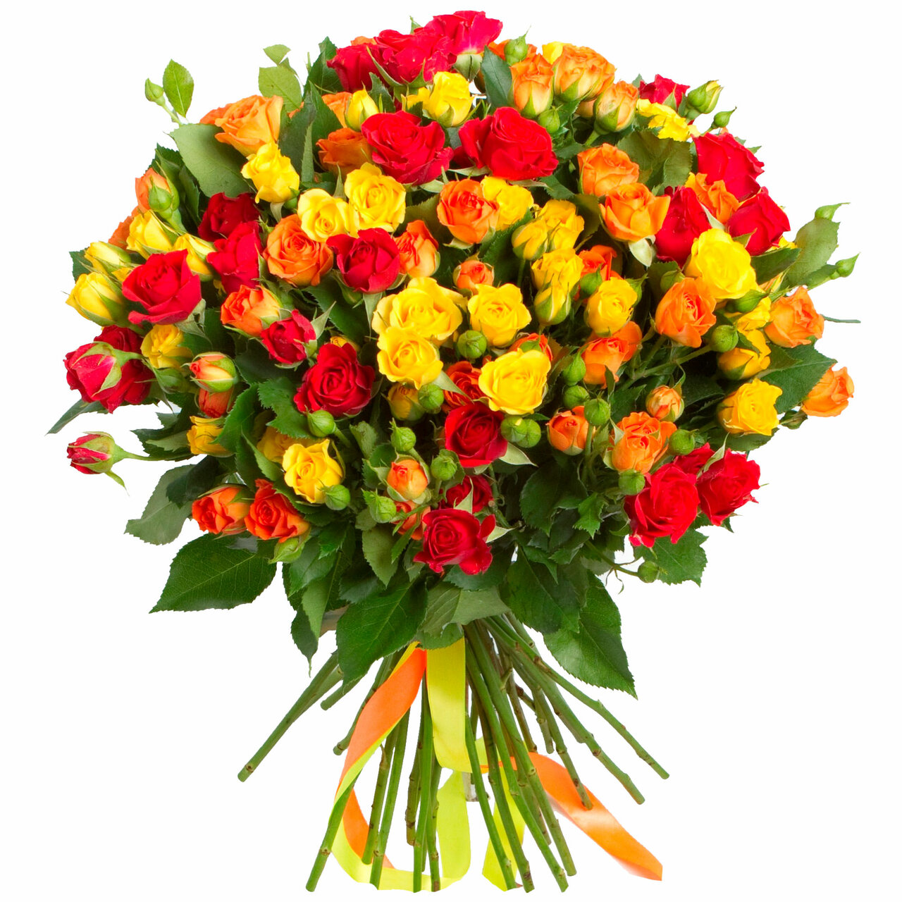 Купить цветы оптом краснодар восточно кругликовская черемхово доставка цветов иркутская область