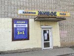 Живое 18+ (Gagrinskaya ulitsa, 1) ، متجر بيع البيرة