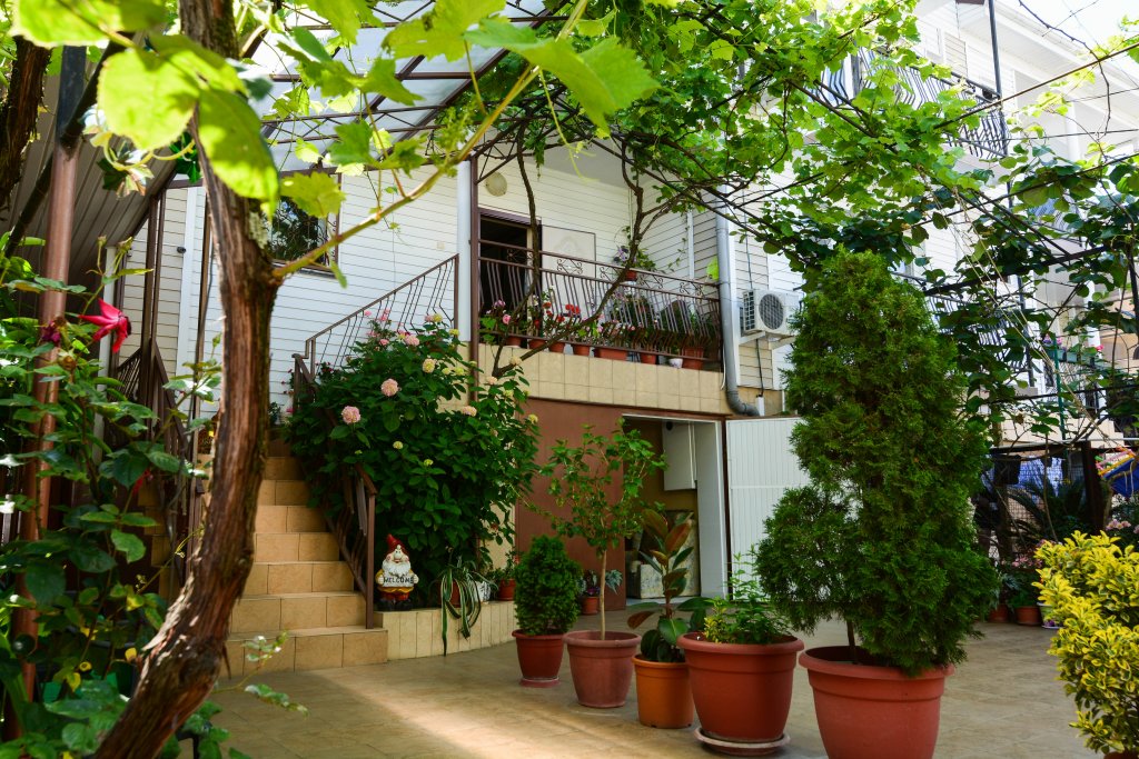 Фото Звёздочка