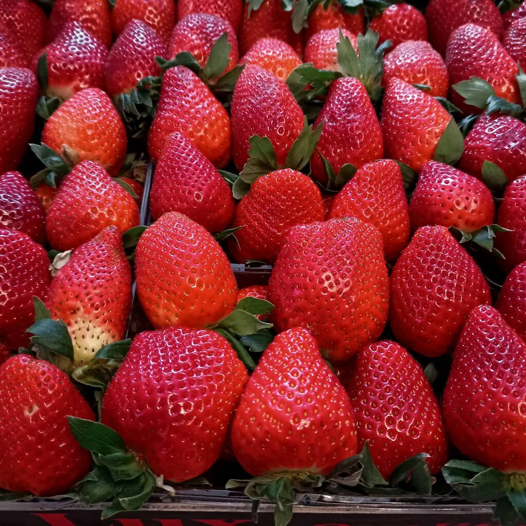 Vegetables and fruit wholesale NART, Saint Petersburg, photo