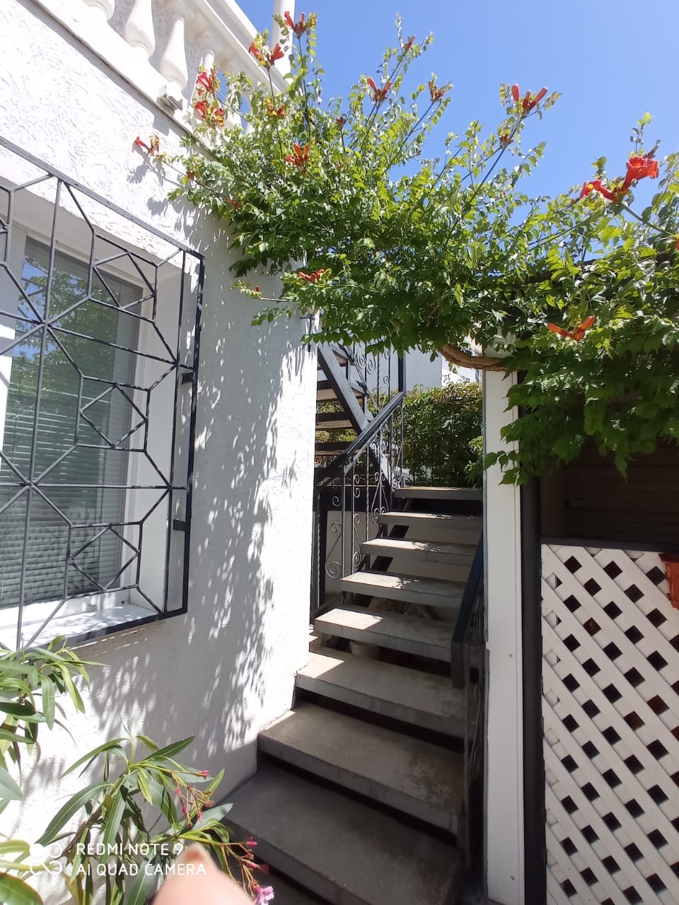 Фото Дивалис