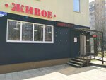 Живое (Pirogova Street, 24), beer shop