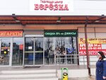 Birch tree (Proletarskaya Street, 326), centro comercial