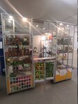 Магазин семян (Kraulya Street, 83А), seed shop