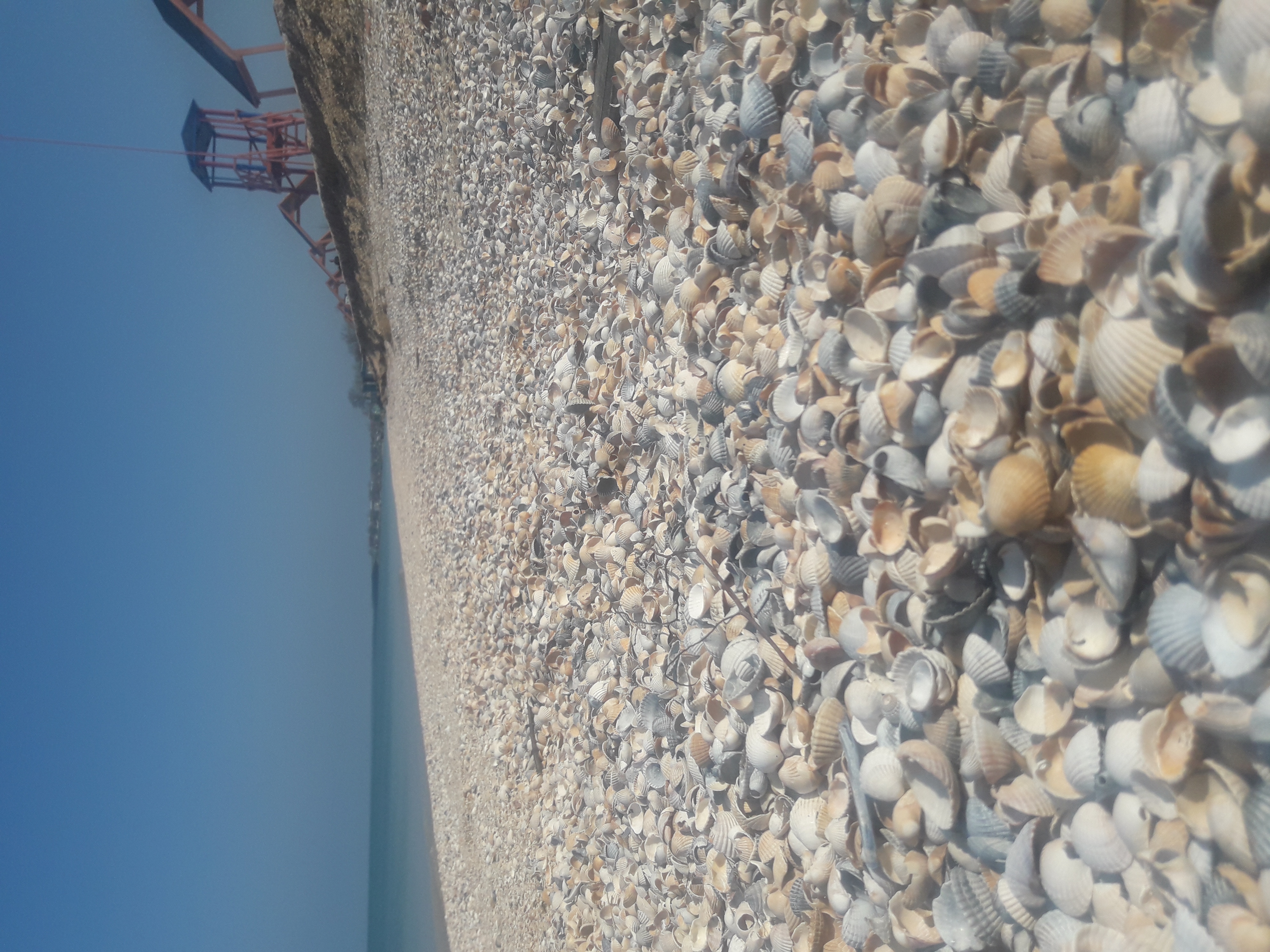 Фото Родной берег