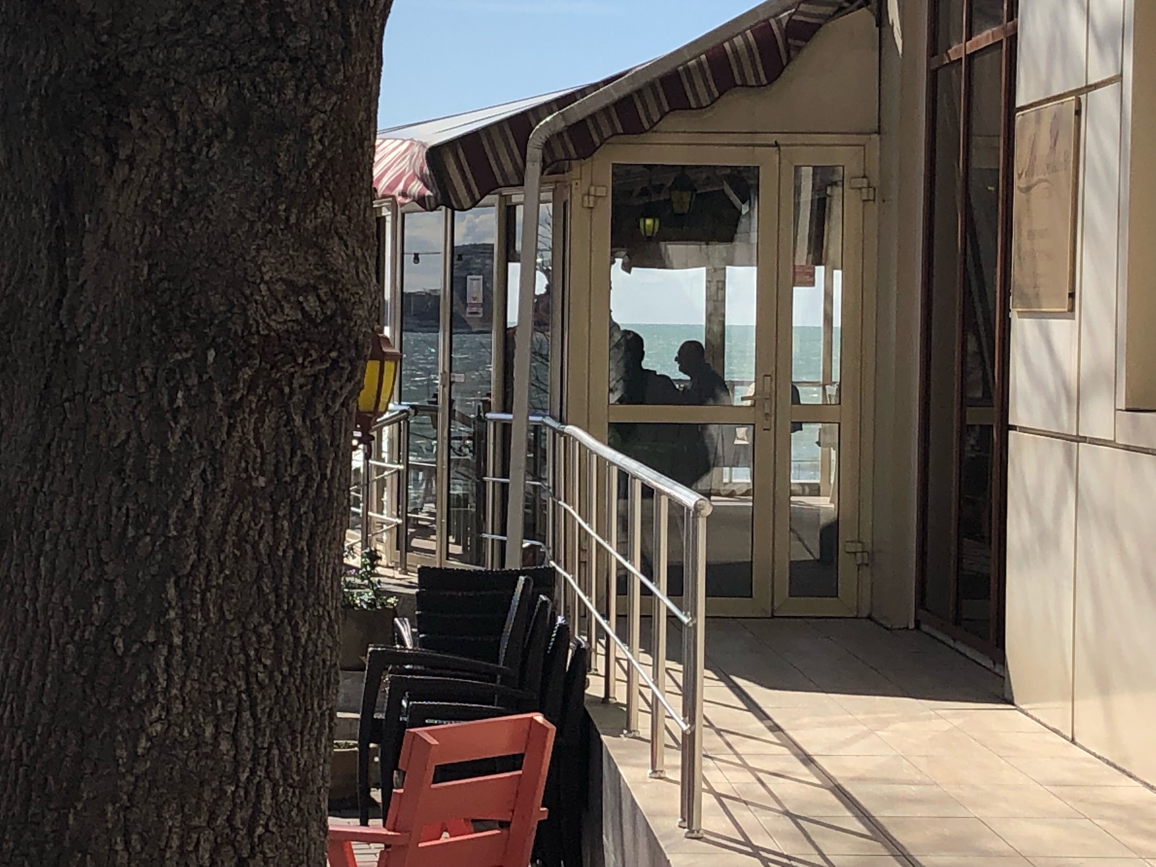 Фото Магнолия