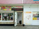 Цветочный дворик (Krasnoarmeyskaya ulitsa, 18), flower shop