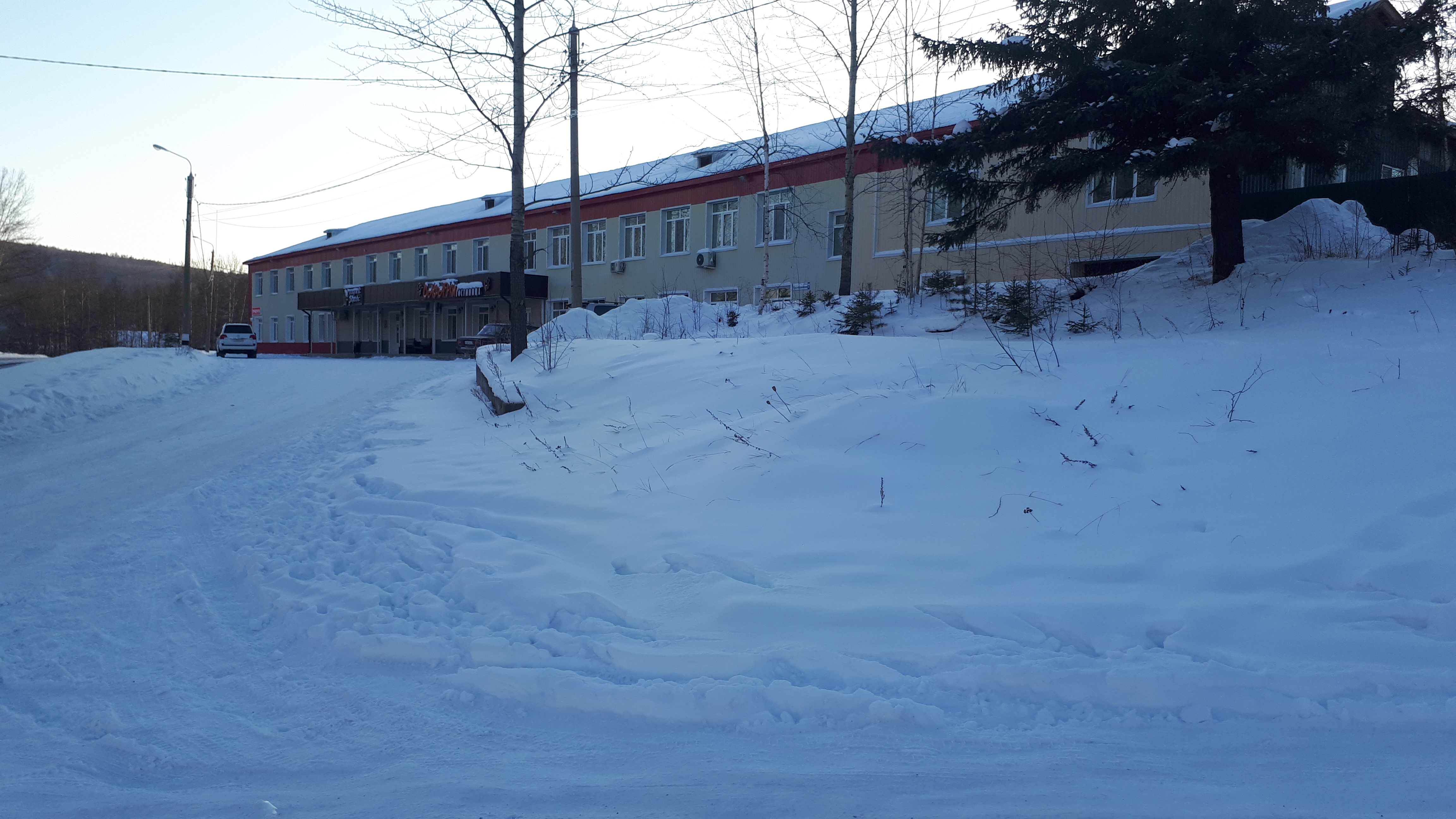 Фото Сафари