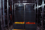 Acoustic Extra Freezing (Moscow, Vasiliya Botylyova Street, 12) ، معدات تبريد صناعية