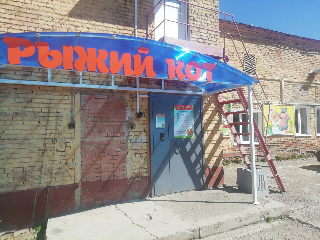 Рыжий кот ул гагарина 2 14 фото
