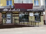 Lotus (ulitsa Radishcheva, 17), flowers and bouquets delivery
