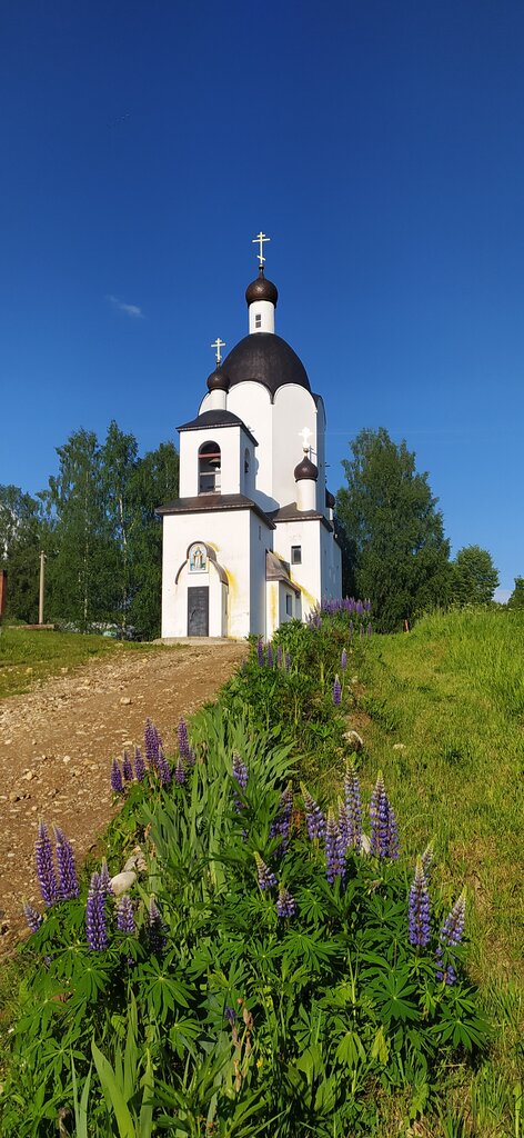 Iglesia ortodoxa Tserkov Pokrova Presvyatoy Bogoroditsy V Yeltsakh, , foto