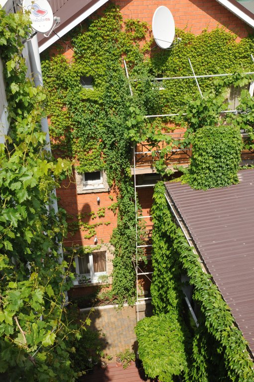 Фото Камелот