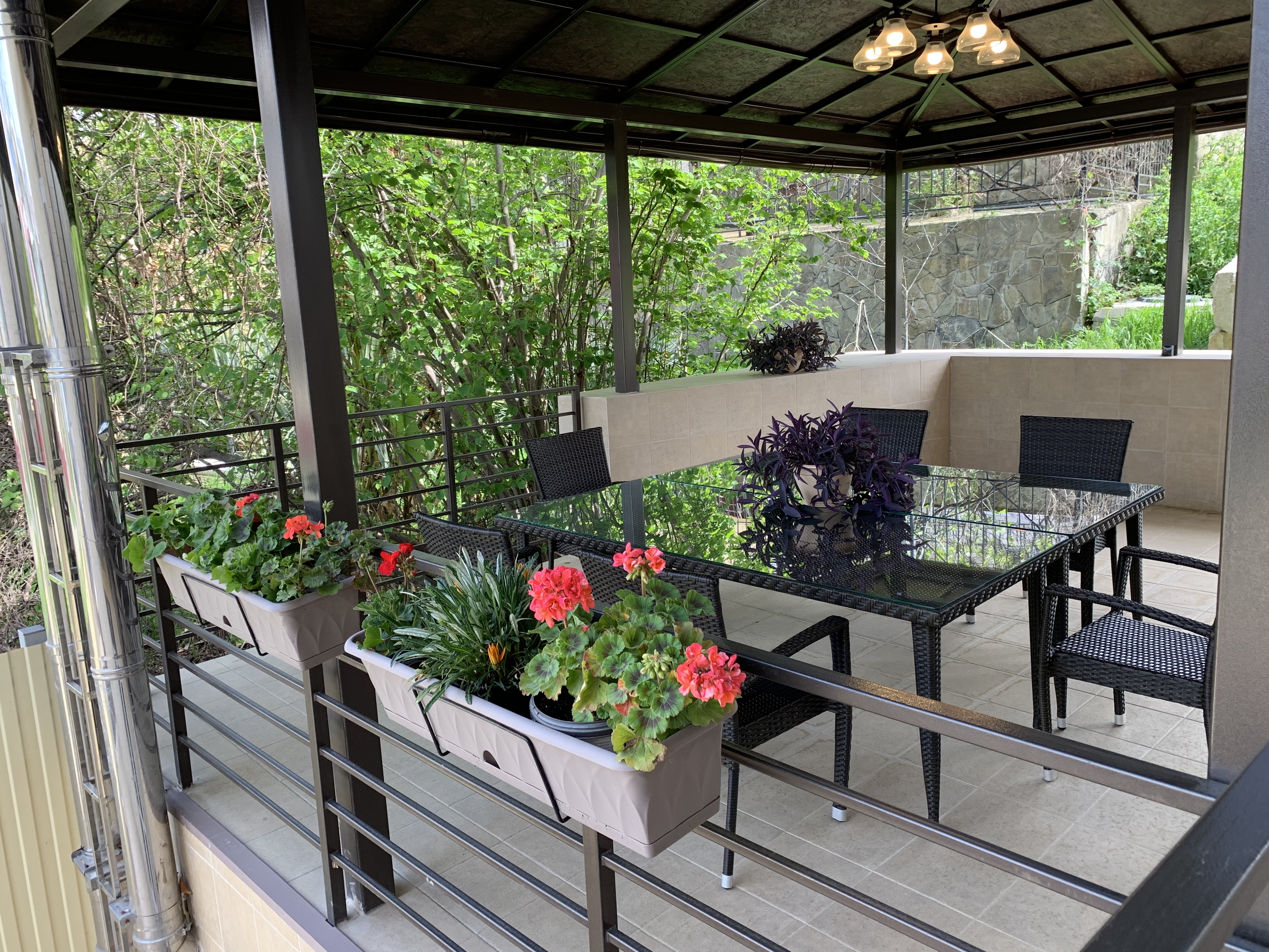 Фото Черноморская Звезда