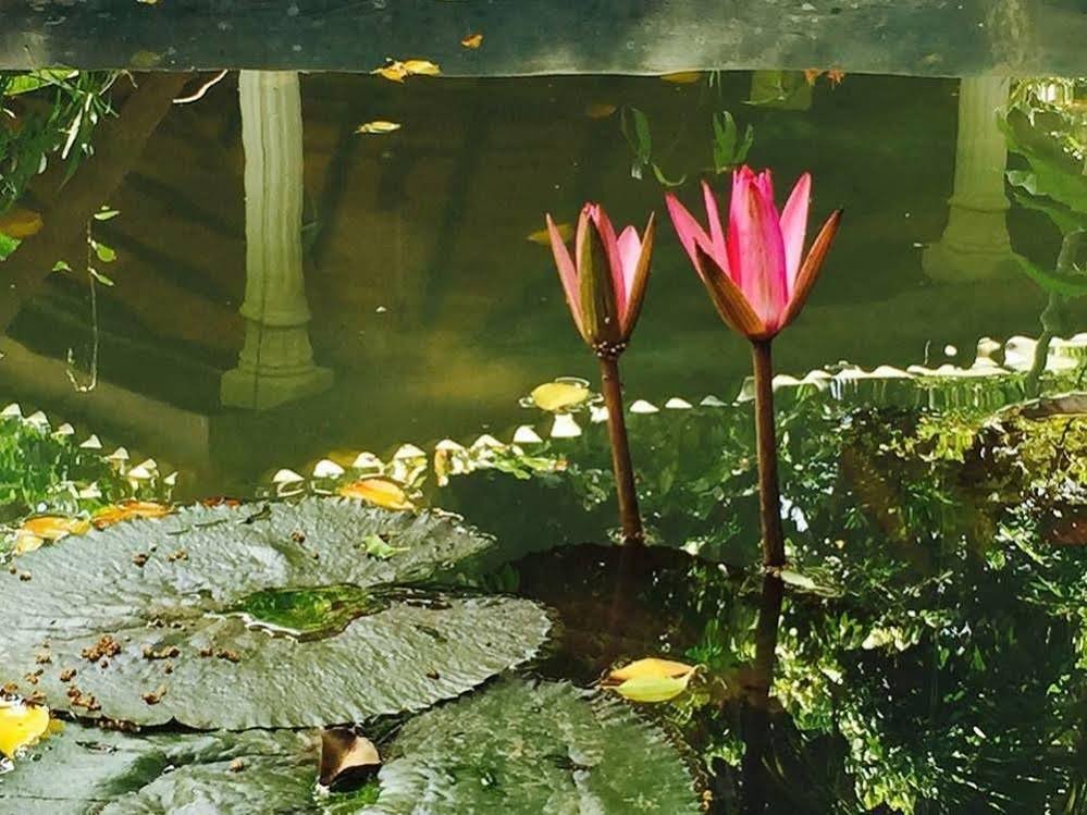 Фото Leijay Garden Retreat