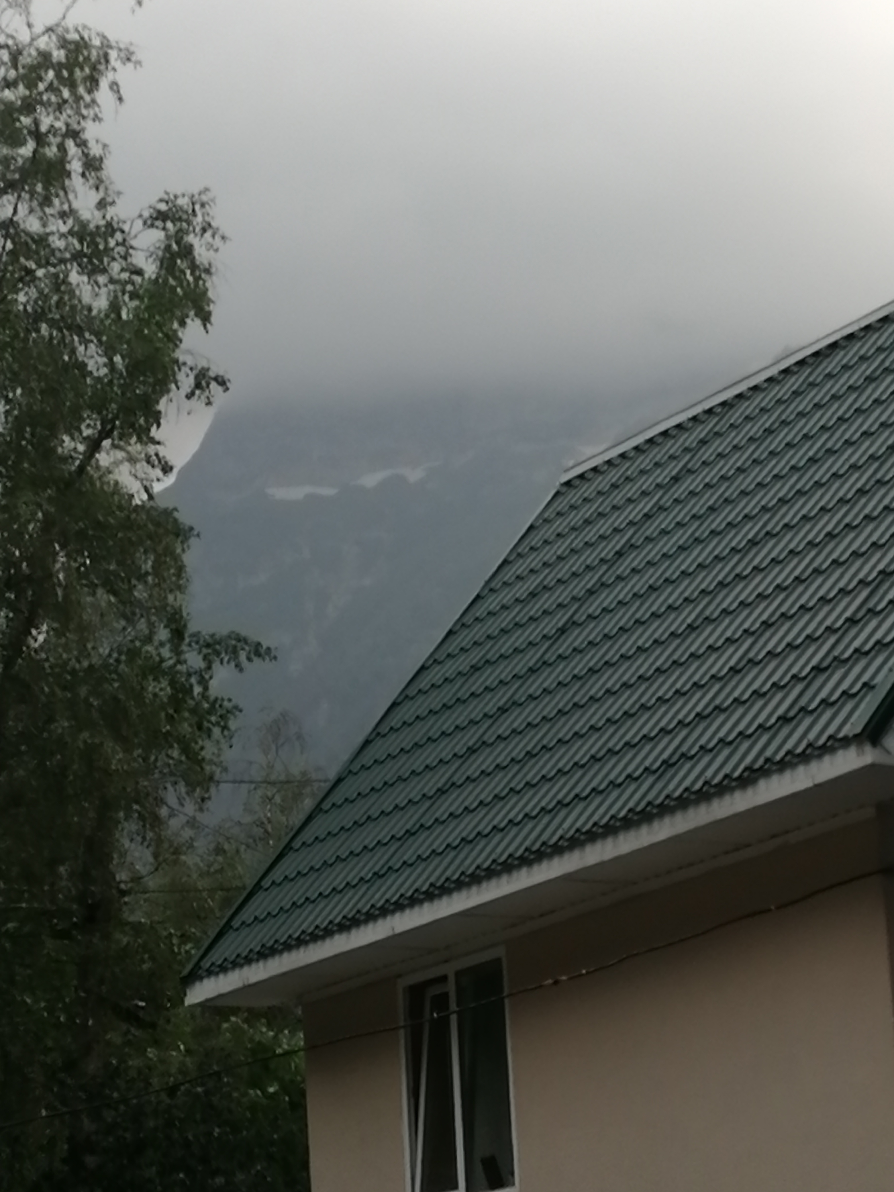 Фото Звёздный