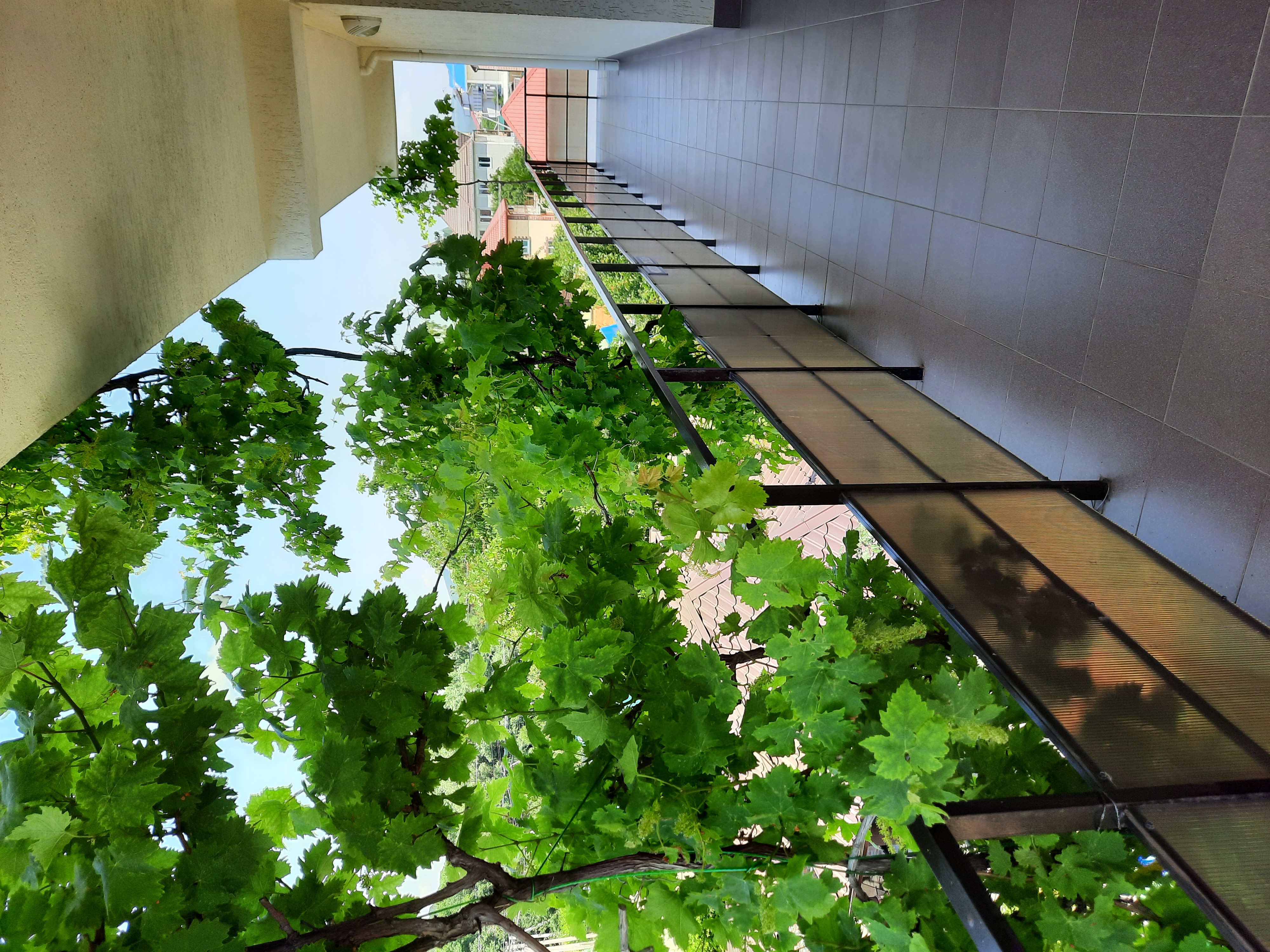 Фото Горный Воздух