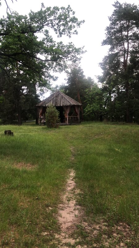 В гостях у сказки — фото 33