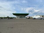 автовокзал Нефтекамск Южный (Дорожная ул., 48, Нефтекамск), автовокзал, автостанция в Нефтекамске