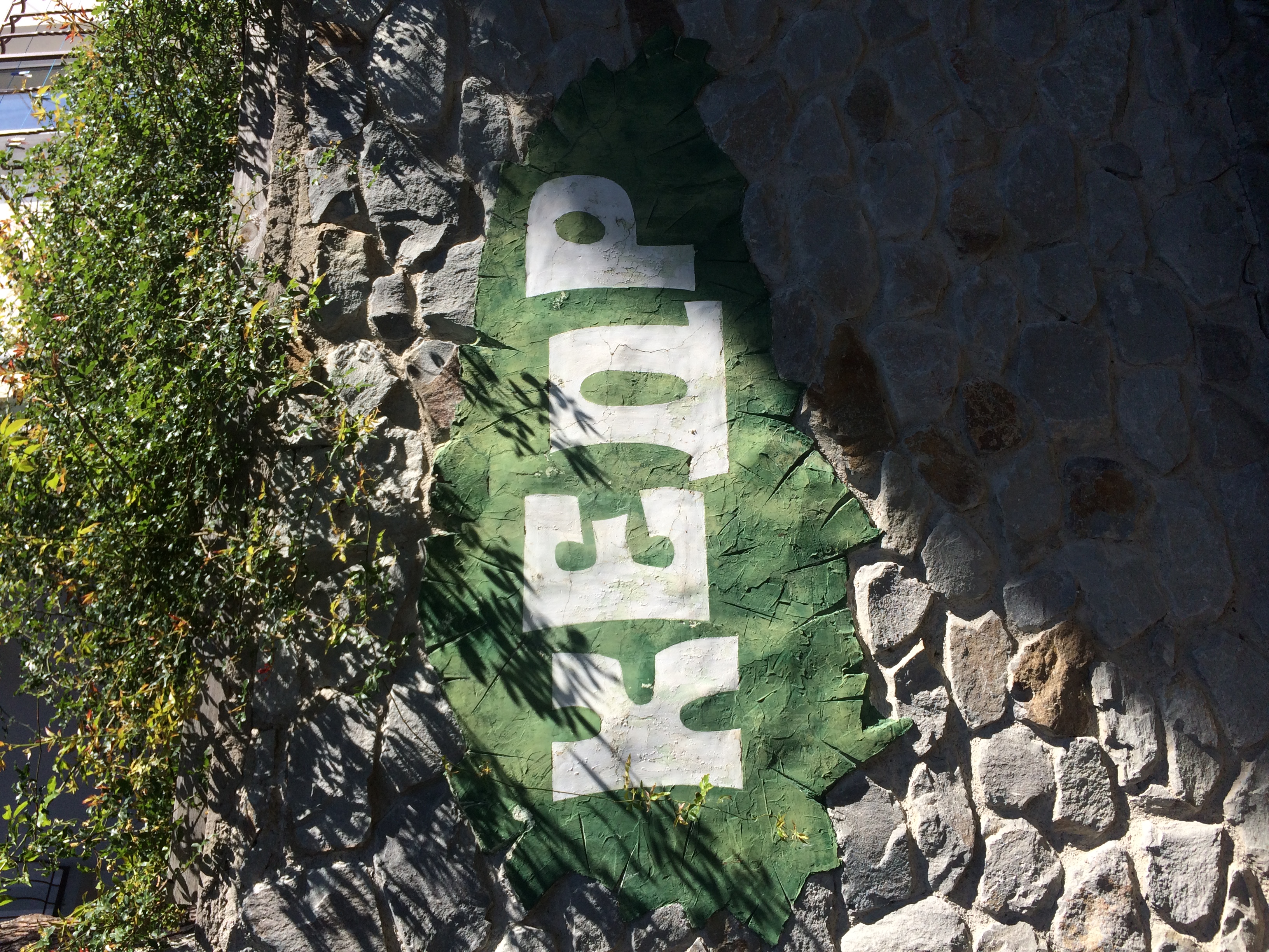 Фото Кедр-Запад