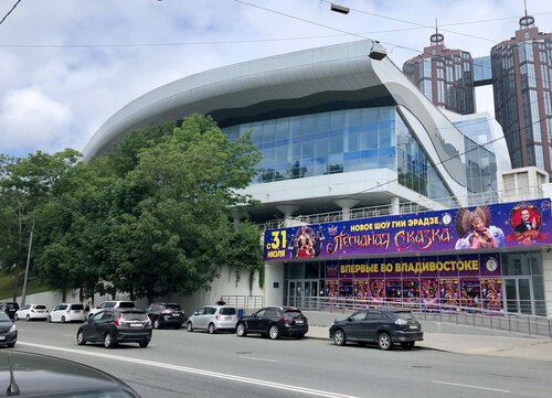 Владивосток кий цирк
