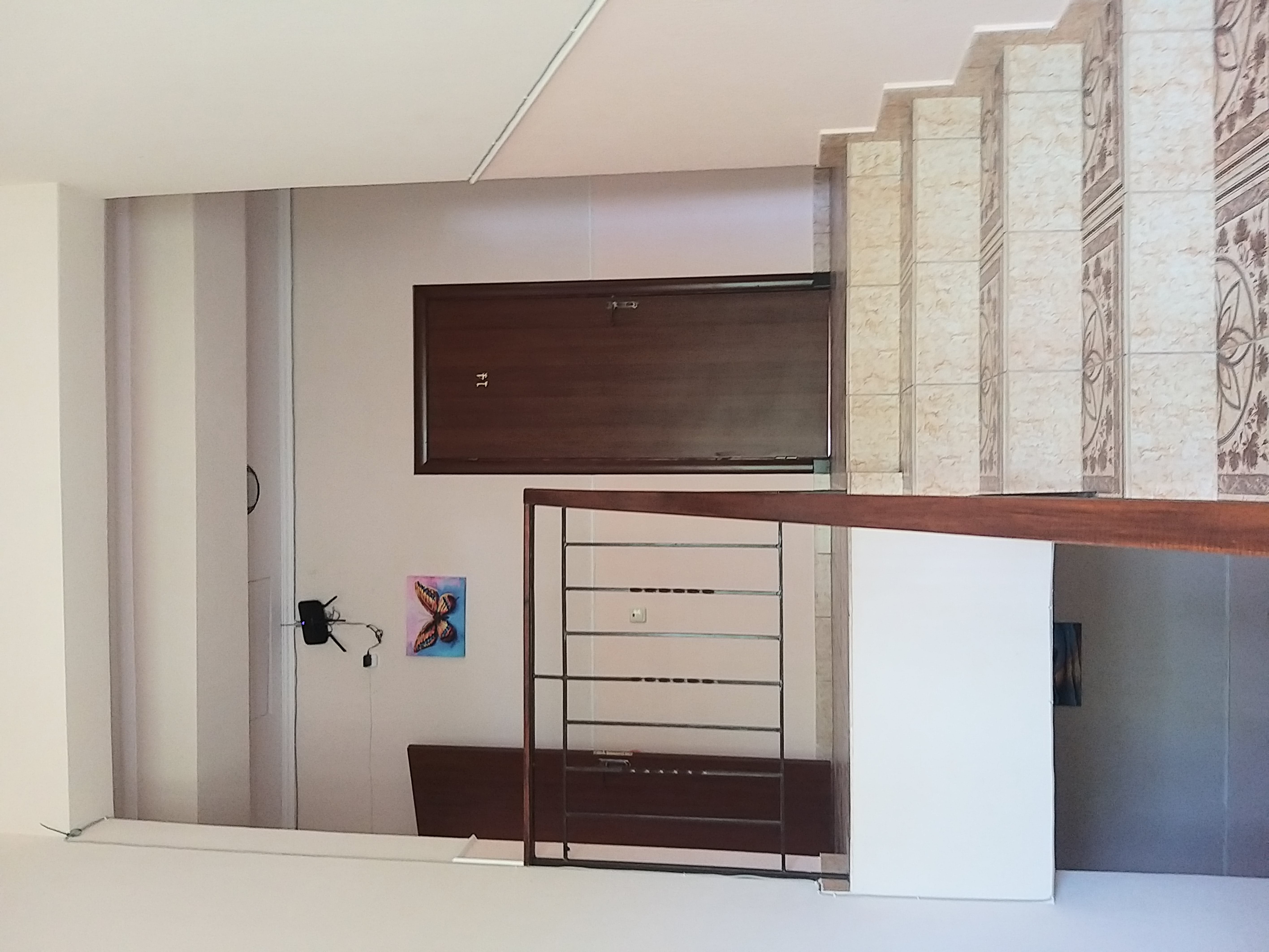 Фото Баттерфляй