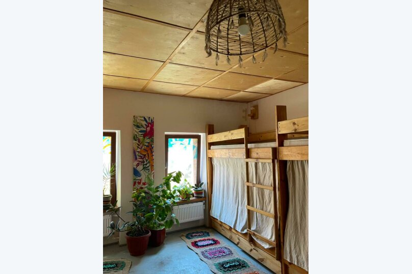 Фото Лисьи сны