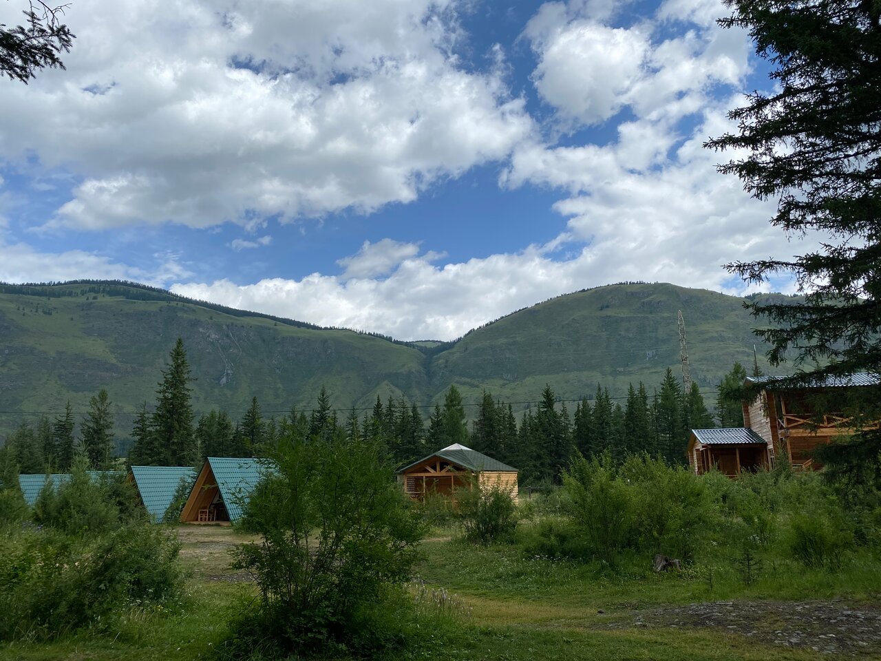 Фото Зелёный колобок