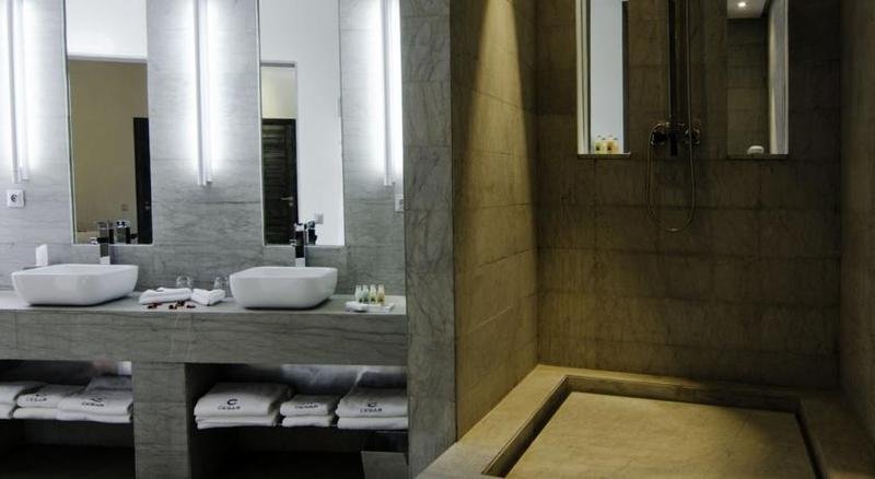 Фото Cesar Resort & SPA