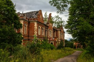 Усадьба Красная Горка (Pskov Region, Dedovichsky District, Vyazyevskaya volost, derevnya Krasnyye Gorki), landmark, attraction