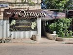 Orkhideya (Kachintsev Street, 124), beauty salon