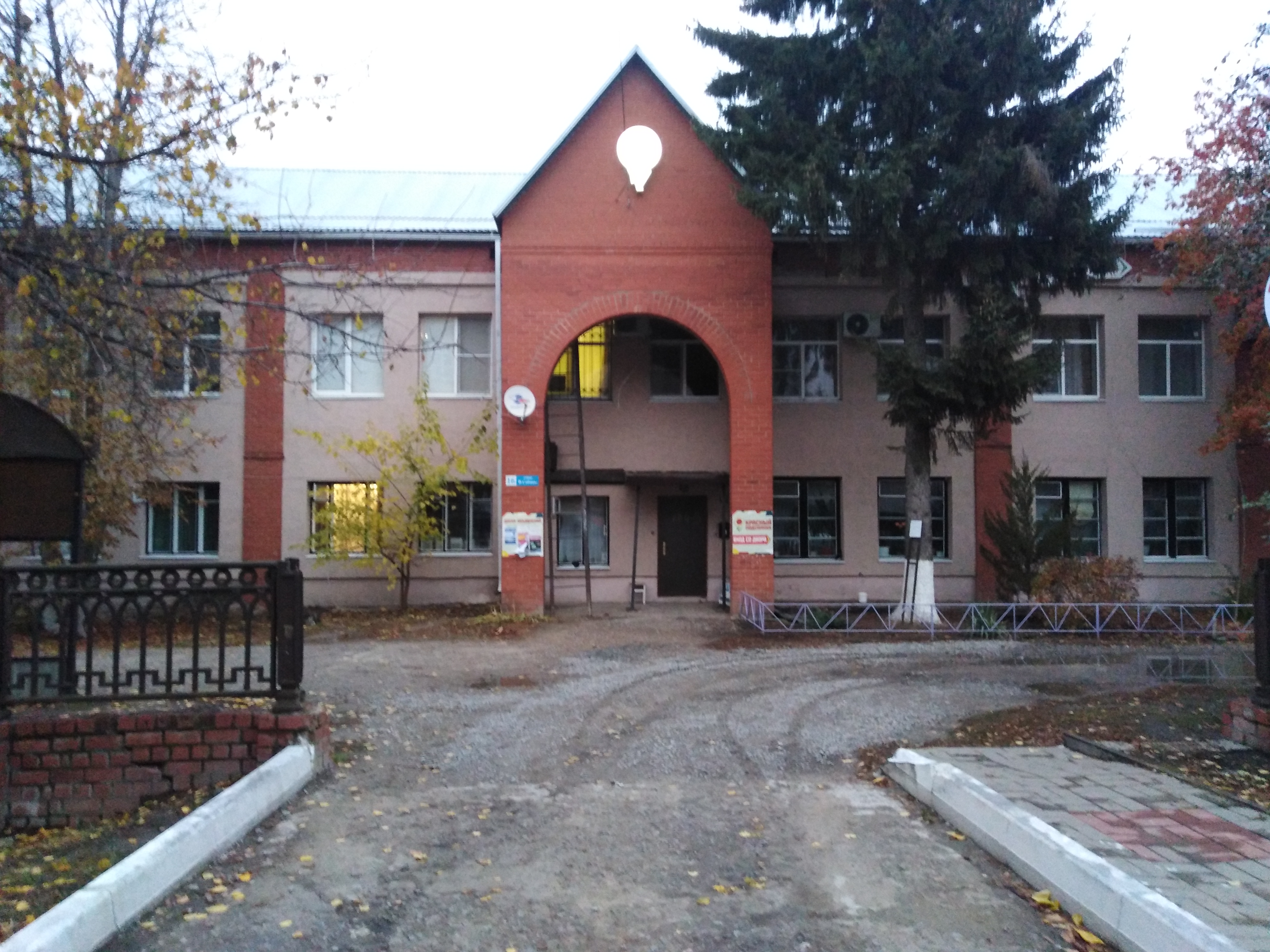 Фото Красный Подсолнух