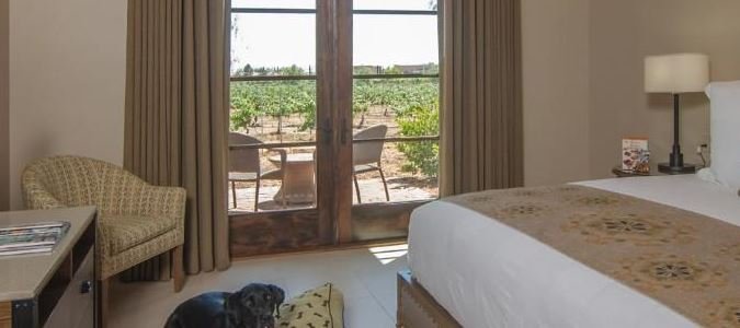 Фото Ponte Vineyard Inn