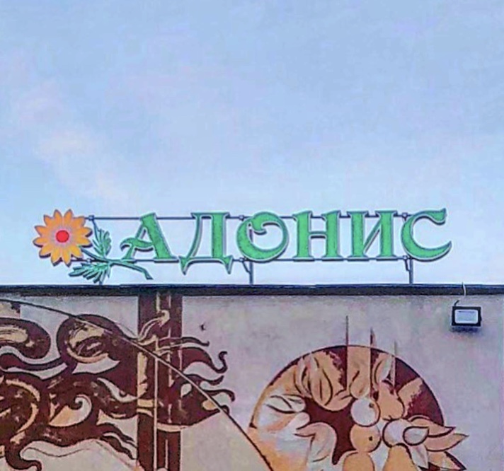 Фото Адонис