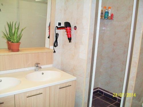 Фото Hostel Chameleon