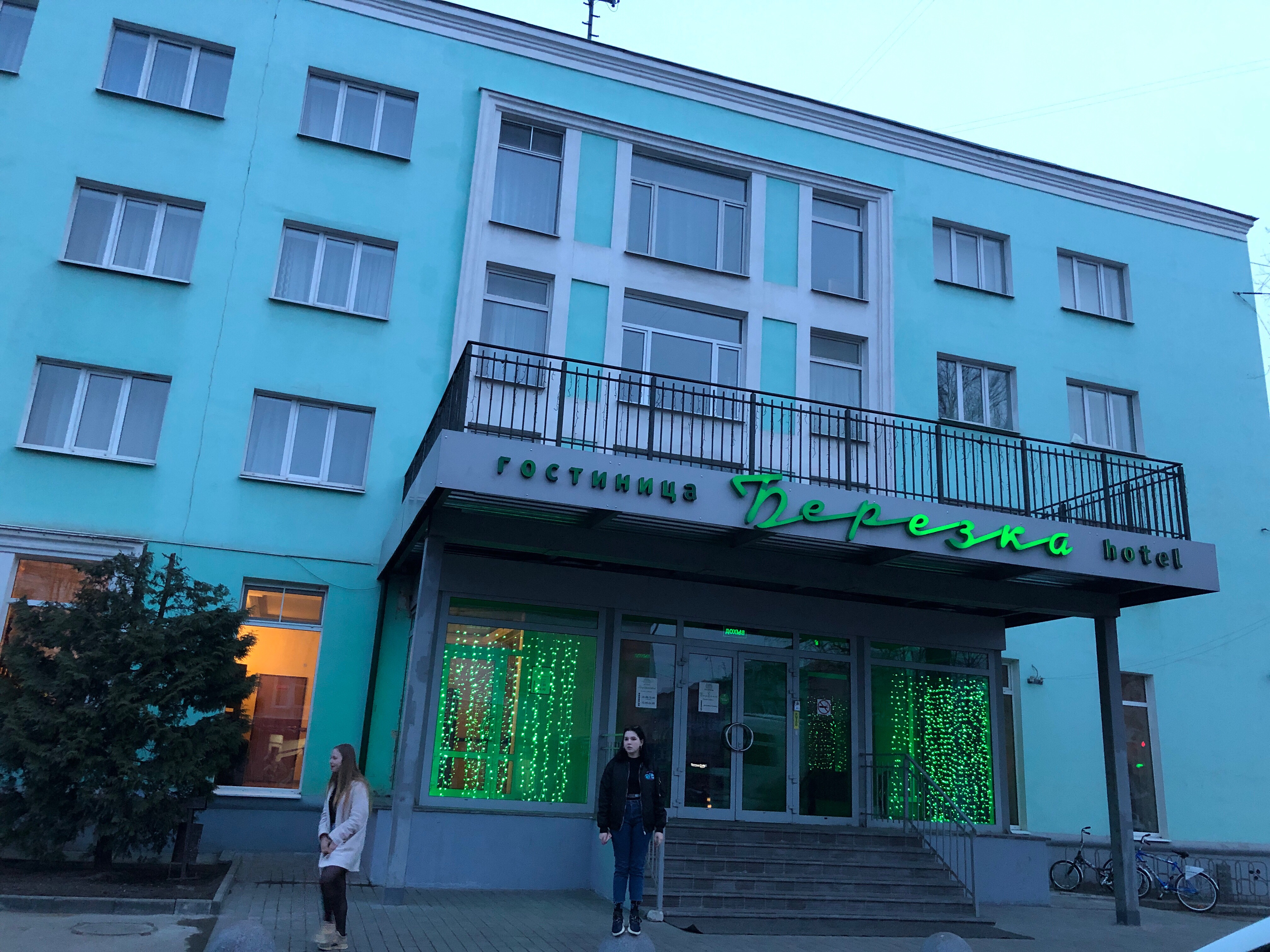 Фото Берёзка