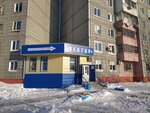 Вектор (Московский просп., 10, Комсомольск-на-Амуре), магазин канцтоваров в Комсомольске‑на‑Амуре