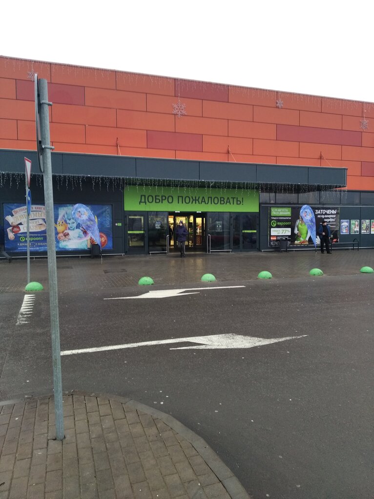 Flower shop Цветы в Евроопт, Rogachev, photo