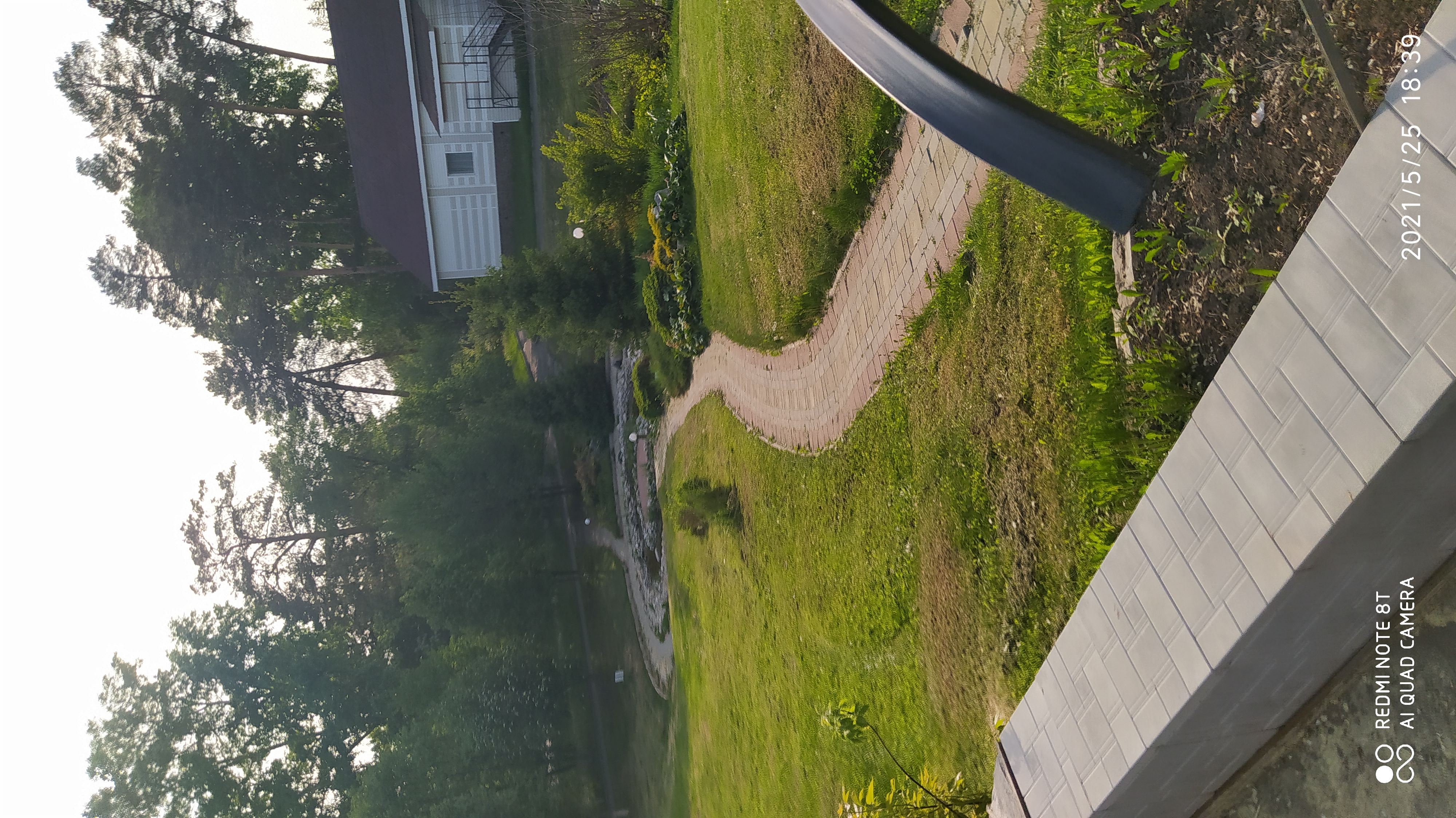 Фото Сосновый бор