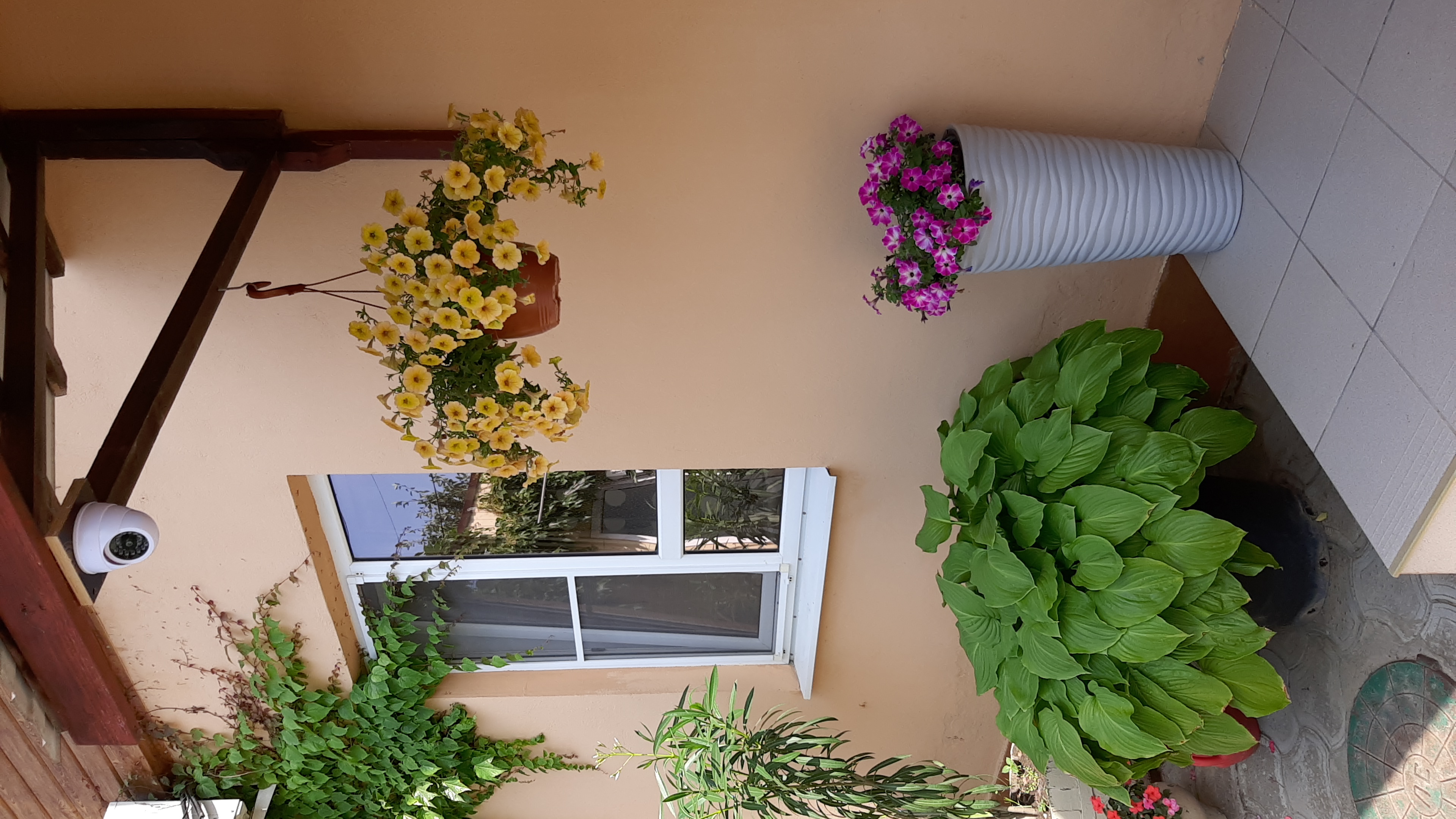 Фото Черномор