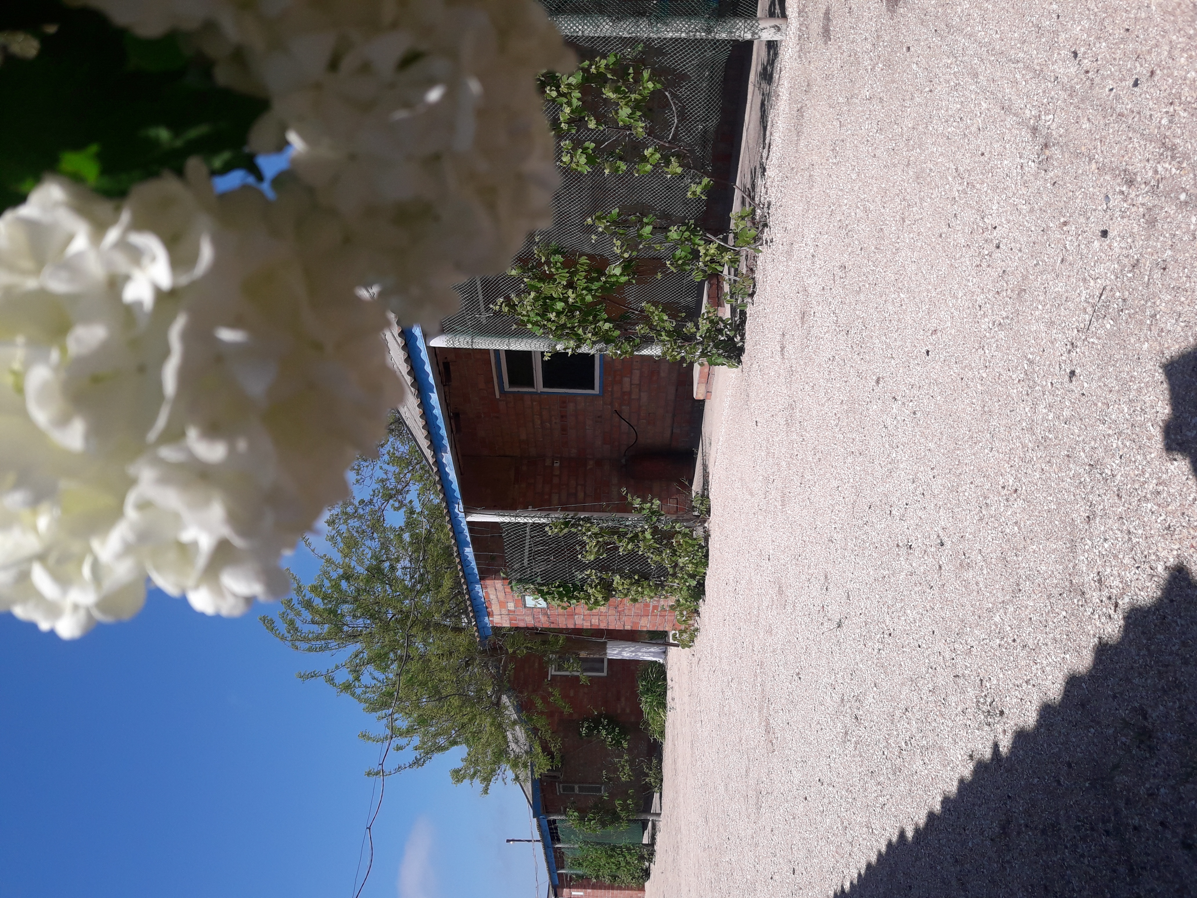 Фото Родной берег