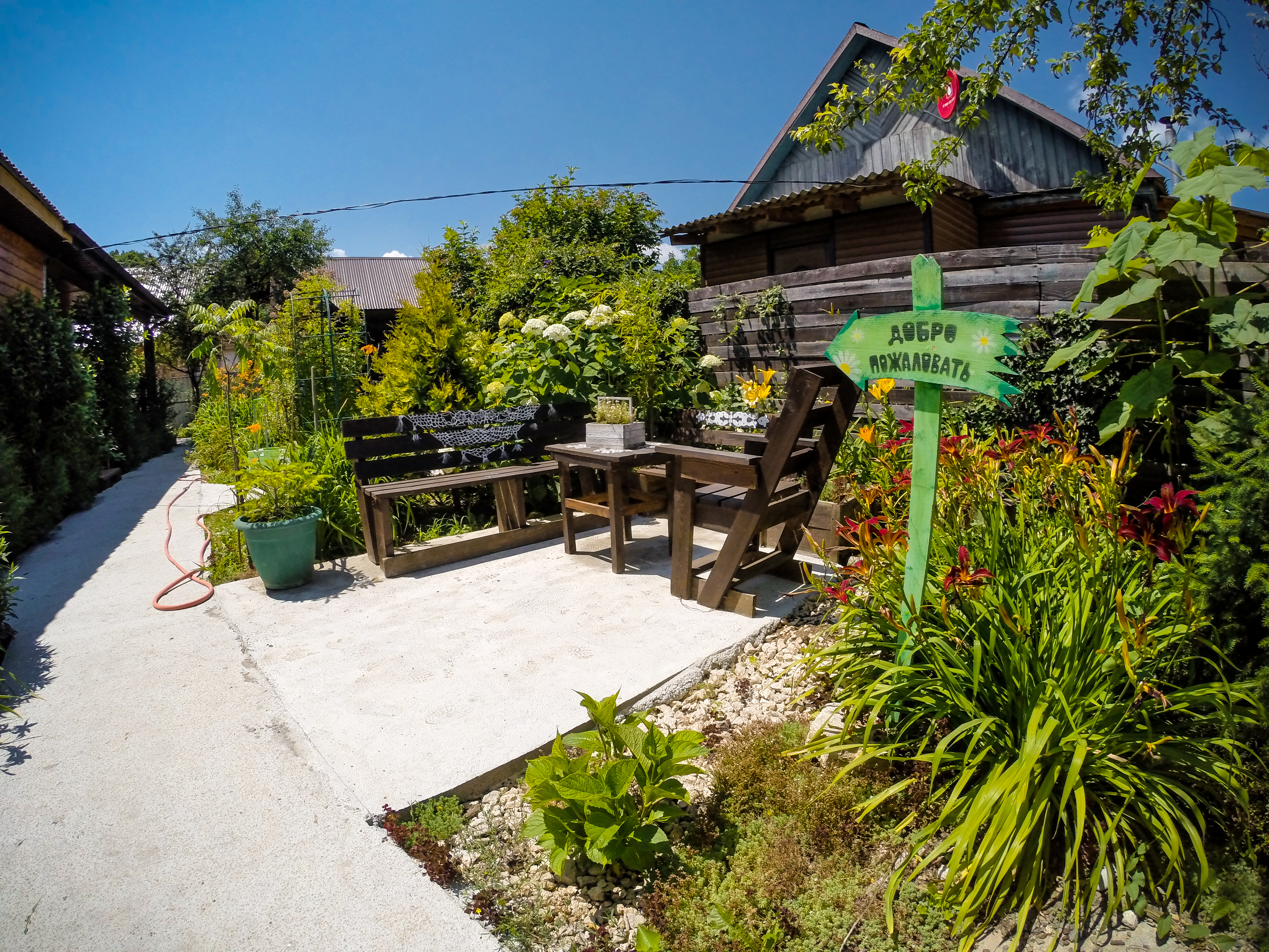 Фото Зелёный уголок