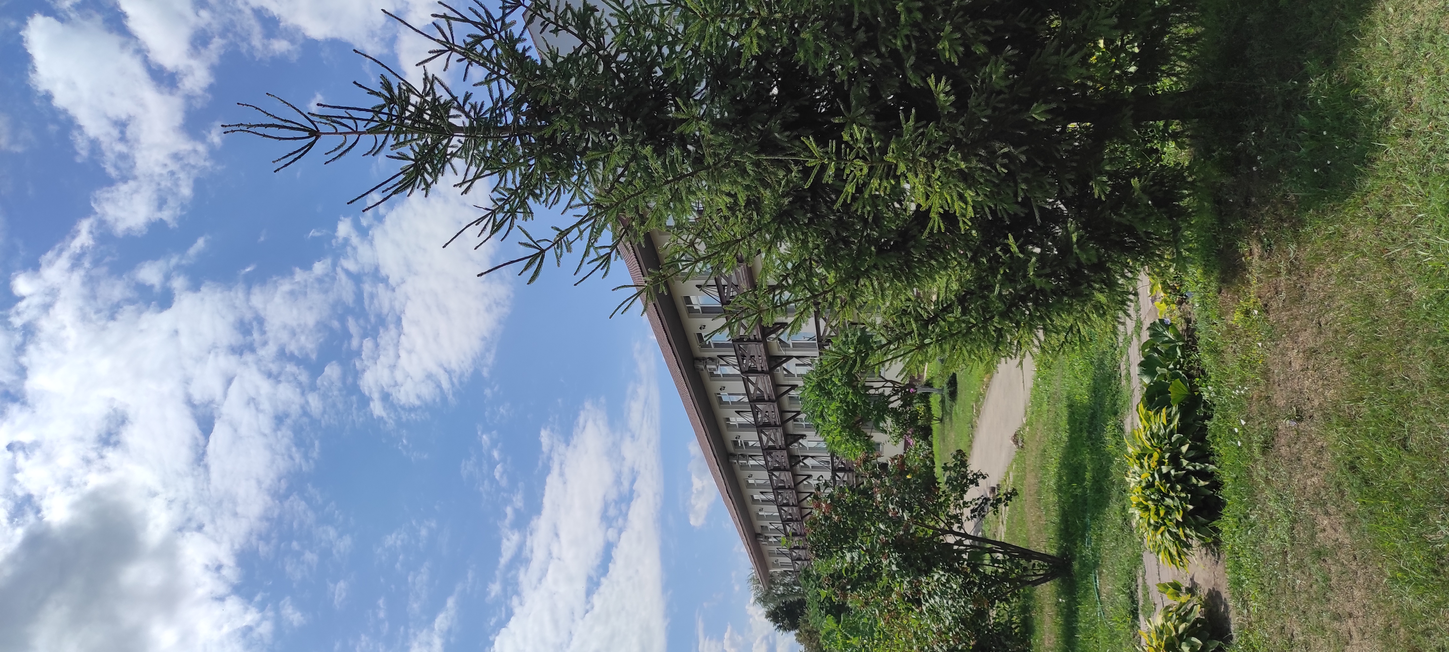 Фото Лихвинские воды