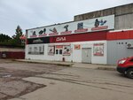 Иномарка (Привокзальная ул., 1), магазин автозапчастей и автотоваров в Питкяранте
