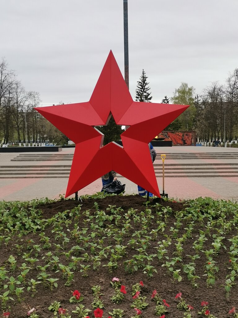 Стелла звезда