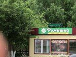 Ромашка (Oktyabrskaya ulitsa, 52Б) ، محل زهور