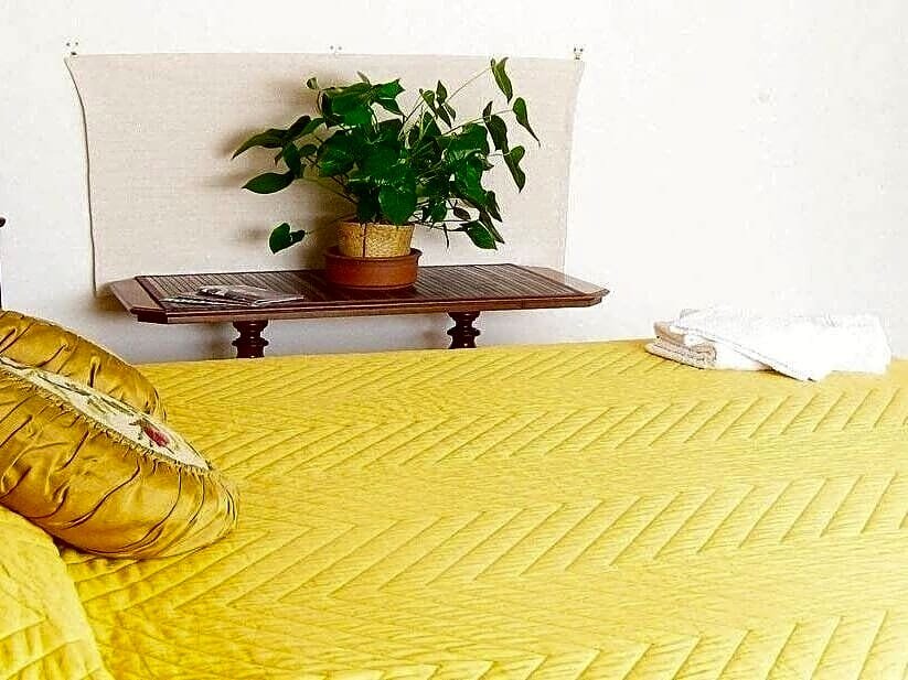 Фото Romulus Rex Bed And Breakfast