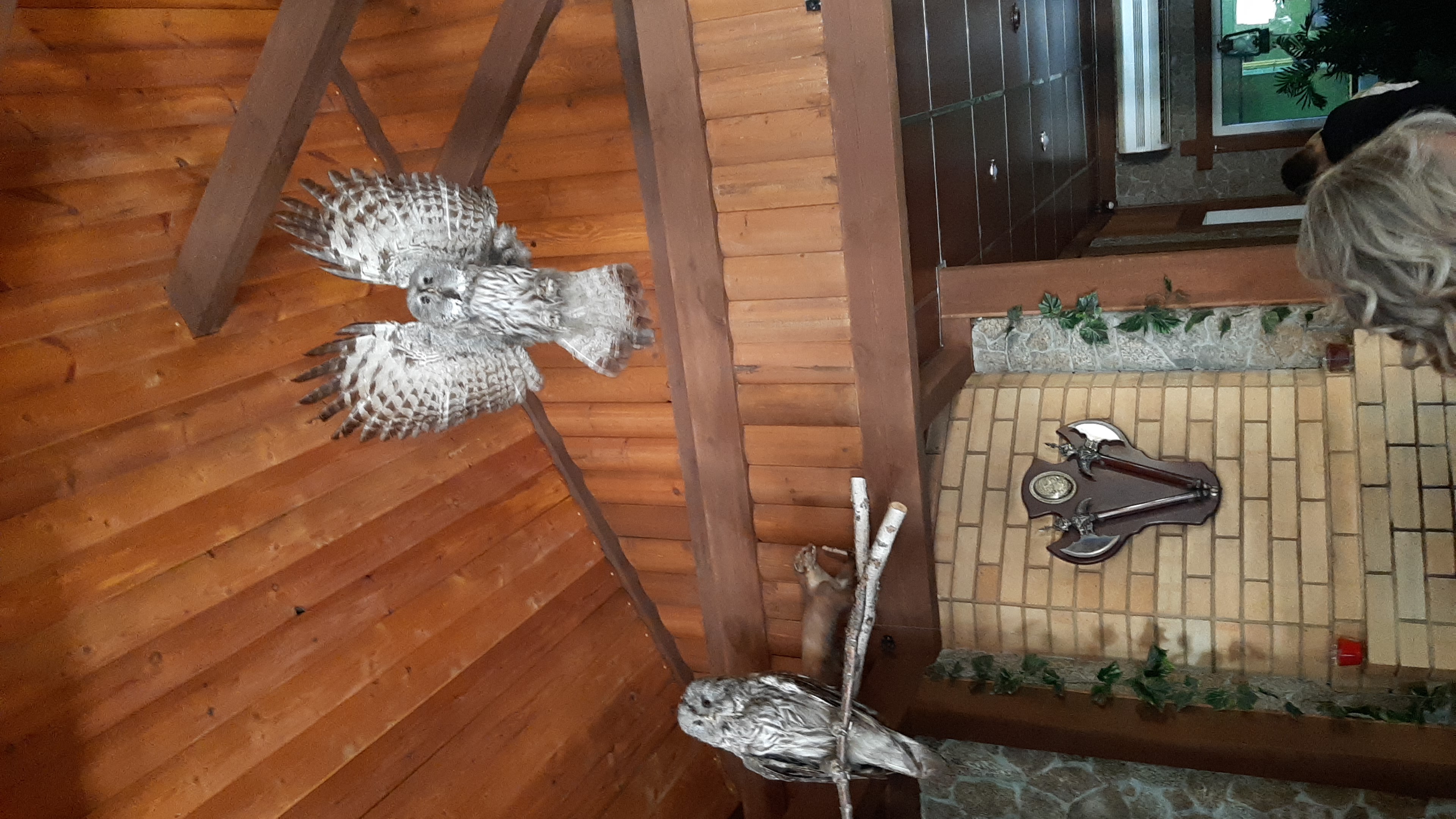 Фото Эсмеральд Отель