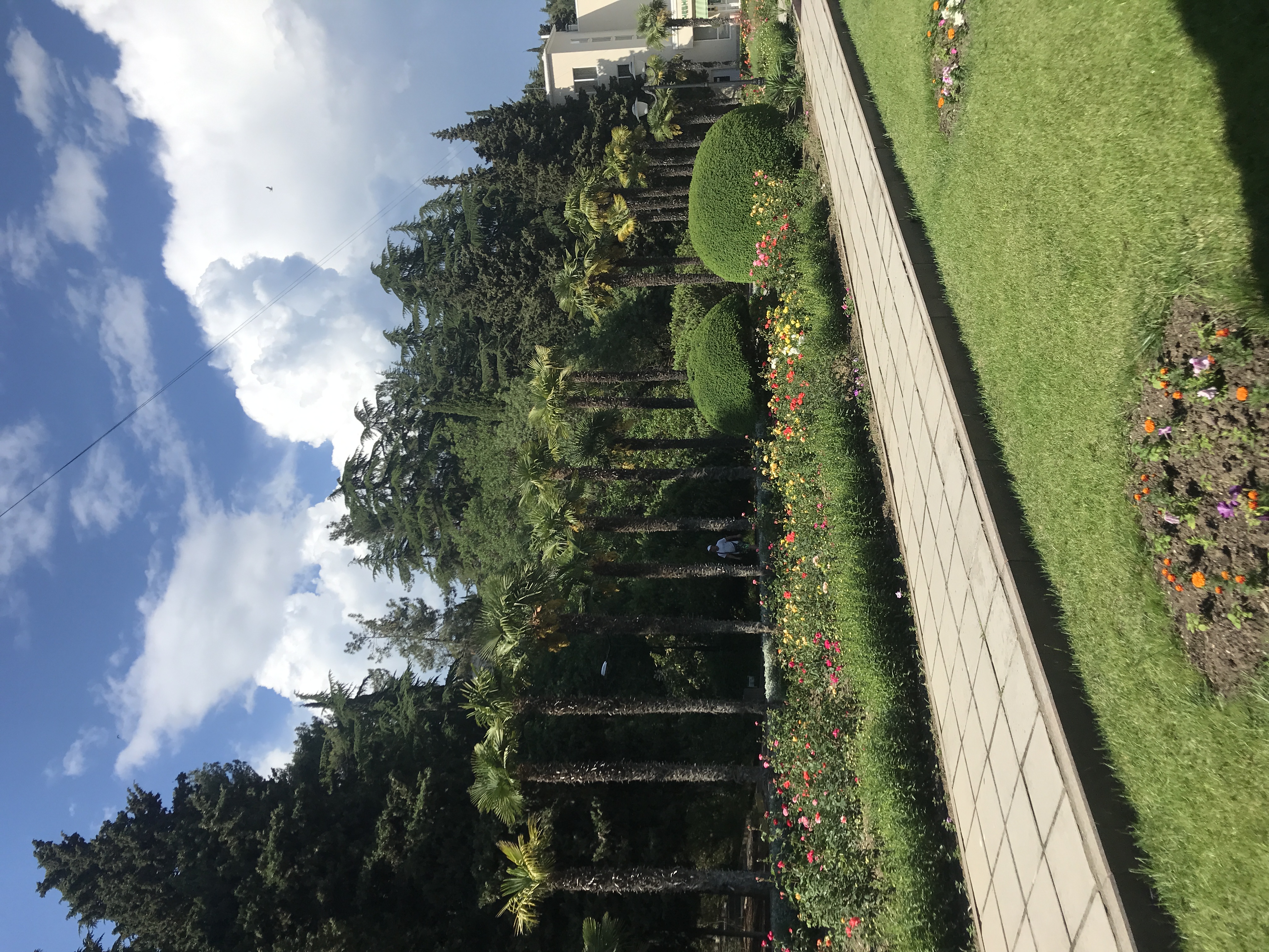 Фото Сезам клуб