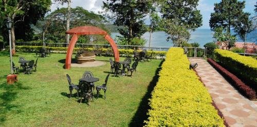 Фото Megapode Nest